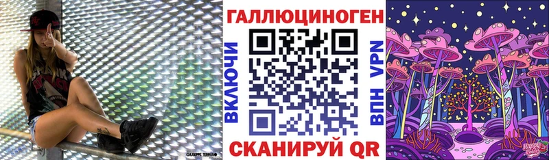 Псилоцибиновые грибы GOLDEN TEACHER  где продают   Рудня 