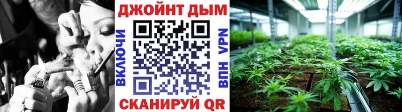Шишки марихуана THC 21%  как найти закладки  Рудня 